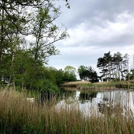 Nature Oasis With Private Near Fårevejle